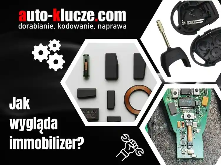 rożne rodzaje przykładowych immobilizerów